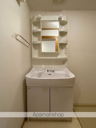 カサデプラシードⅡ[1K/33.15m2]の洗面所