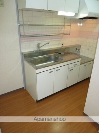 メゾングランルマーニュ[3LDK/62.64m2]のキッチン