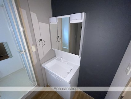 アクティルミナス[2DK/50.67m2]の洗面所