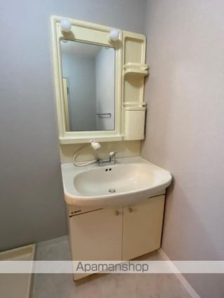 グレースハタオカ[2LDK/53.56m2]の洗面所