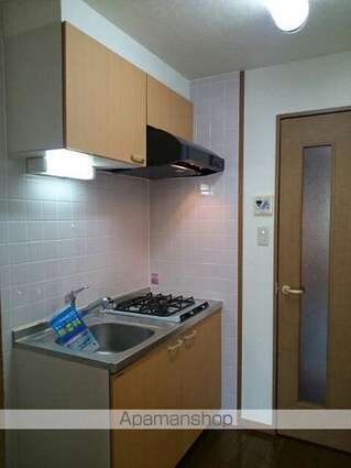 ラレ　デ　スリジィエ[1R/27.1m2]のキッチン