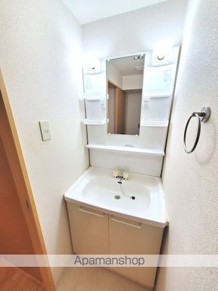 ドミール田端[1LDK/60.56m2]の洗面所