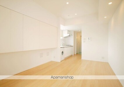 カスタリア麻布十番Ⅱ[1R/30.53m2]のその他内装1