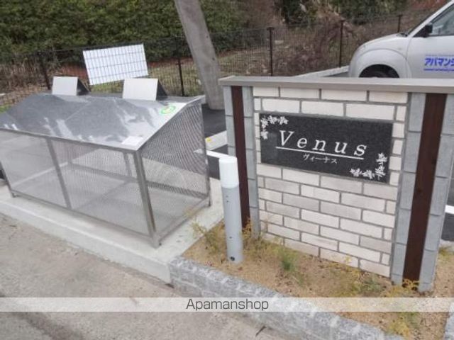 ヴィーナスのその他写真
