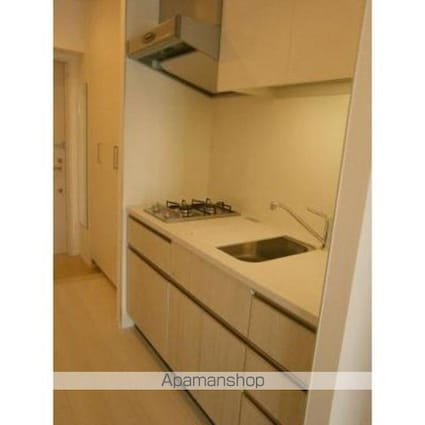 パークアクシス錦糸町・親水公園[1K/26.3m2]のその他内装3