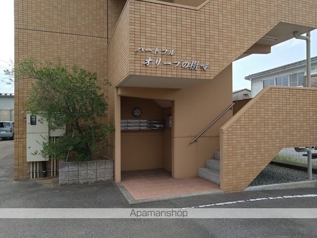 ハートフル オリーブの樹の玄関写真