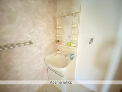 ブランシェーＭ[2LDK/54.07m2]の洗面所