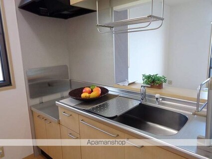 シャーメゾン・みさと[2LDK/53.28m2]のキッチン