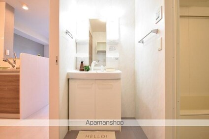 セジュール澄ＩＩ　Ｂ棟[1LDK/48.01m2]の洗面所