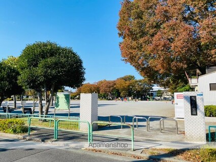ウィンドテラス新柴又Ⅰ[1K/24.42m2]の周辺6