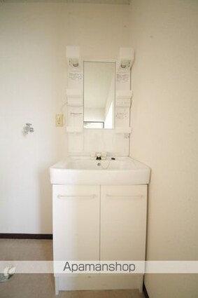 石井ハイツ[2DK/32.67m2]の洗面所