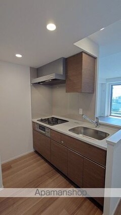 パークタワー勝どき　サウス棟[1LDK/51.07m2]のキッチン