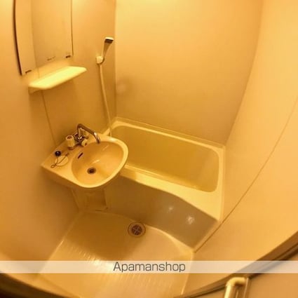 メゾンＹｏｕ＆Ｉ[1K/24.5m2]の洗面所