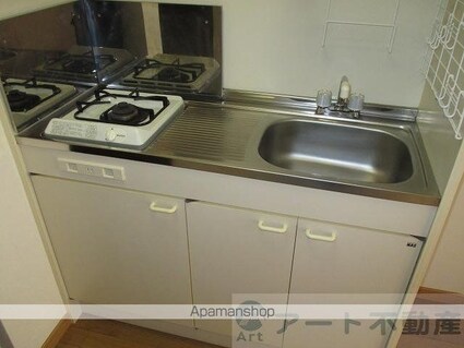 アプトン・パーク２１[1K/30m2]のキッチン