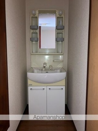 メイプルタウン[1K/25.2m2]の洗面所