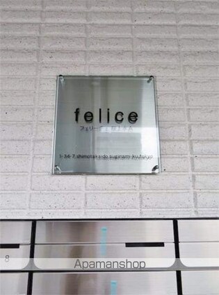 フェリーチェ桜上水Ａ[1K/17.42m2]の外観2