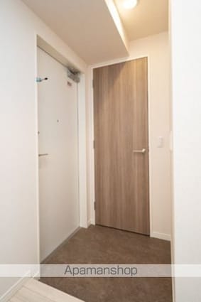 ルミレイス豊洲[1LDK/46.37m2]の玄関