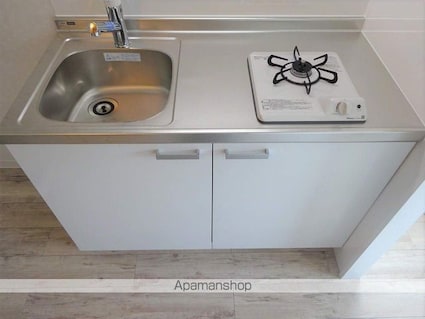 アーベントハイツ平岡[1R/23m2]のキッチン