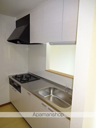 ライネスハイム・ノイ[2LDK/49.34m2]のキッチン