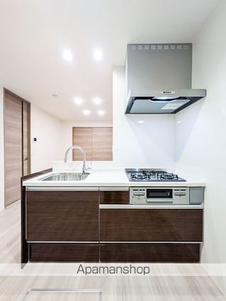 セレスティア大谷田ＩＩ[1LDK/42.18m2]のキッチン