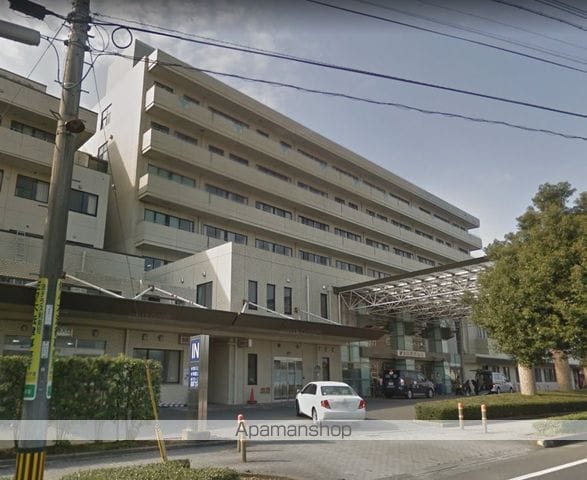 Y&Mデイジーの周辺写真