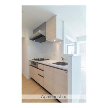 ヴェルデュール高田馬場[2LDK/56.56m2]のキッチン