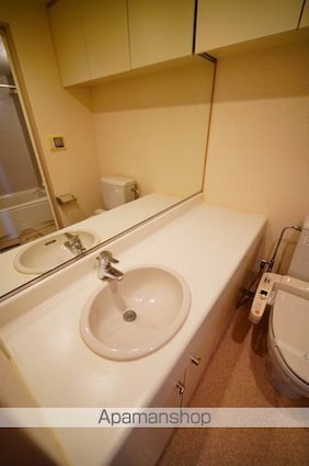 パークフロント西新宿[1K/34.54m2]の洗面所