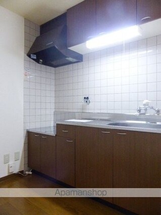 カメリアガーデン[3LDK/65m2]のキッチン