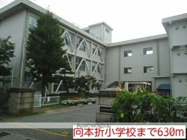 モンセラの周辺写真