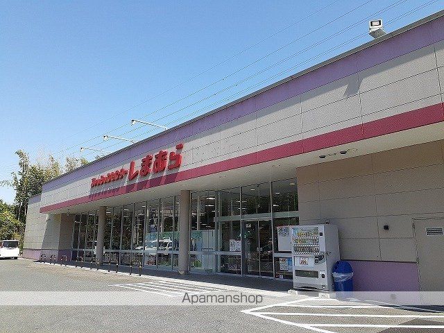 ブルー コスモの周辺写真