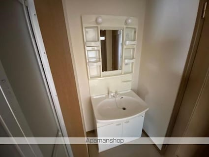 メゾンクラスター[2LDK/48m2]の洗面所