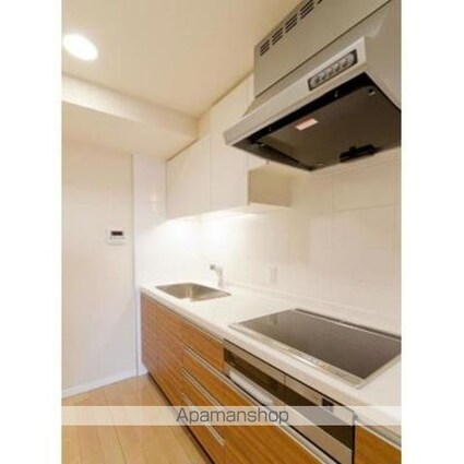 ＴＨＥ　ＴＯＫＹＯ　ＴＯＷＥＲＳ　ＭＩＤＴＯＷＥＲ[1LDK/53.74m2]のキッチン