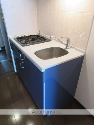 ロアール高円寺[1K/21.9m2]のキッチン