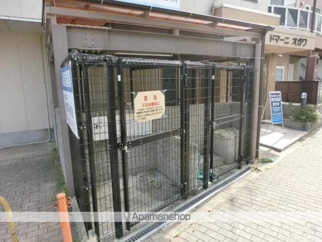 ドマーニオガワのその他写真