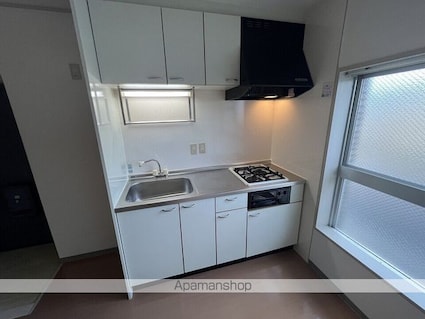 甲西グリーンハイツ[1DK/45.9m2]のキッチン