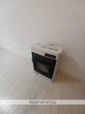 ラフィーネ南平岸IVの内装写真
