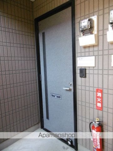 天王ドルフのその他写真