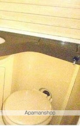 ダイアパレス桜町[1R/23.77m2]のトイレ