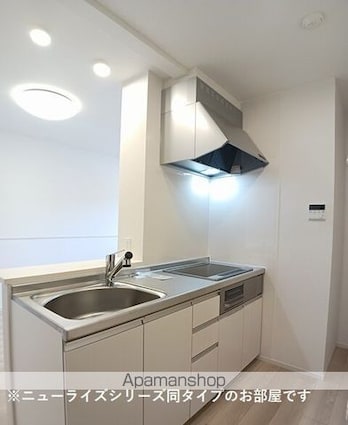 ラフィネⅢ[2LDK/59.58m2]のキッチン