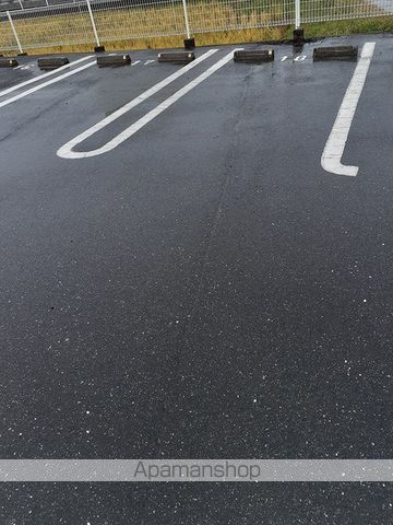 レグルスのその他写真