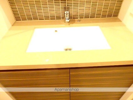 ザ・パークハビオ新宿[1K/25.17m2]の洗面所