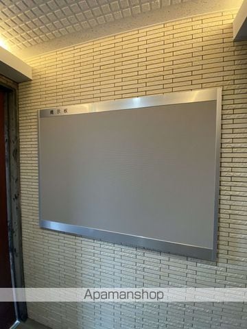 SUGAR RAYのその他写真