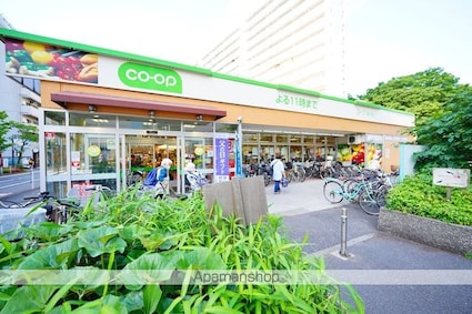 カスタリア新宿７丁目[2DK/50.22m2]の周辺4