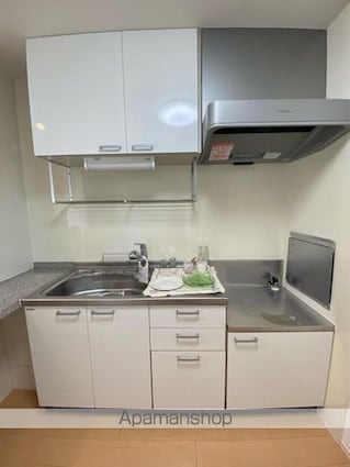 桜サライ[1LDK/40.68m2]のキッチン