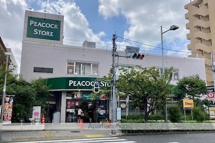 ミーナソルテ桜新町[1R/24.04m2]の周辺6