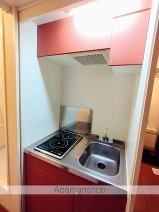 レオパレスＴ＆ＳⅡ[1K/20.28m2]のキッチン