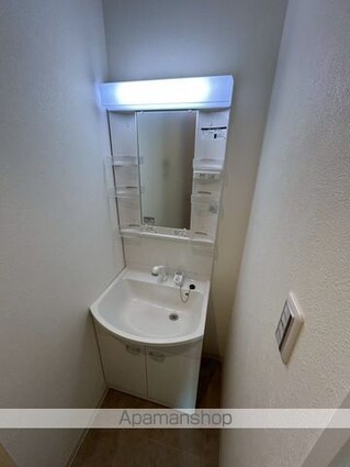 Ｄｉａｓ太子橋[1SLDK/51.19m2]の洗面所