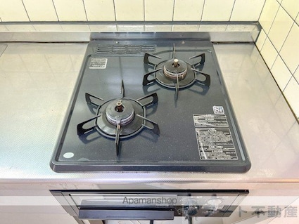 Ｍｔ．ＣＥＲＶＩＮ[1K/22.68m2]の内装4