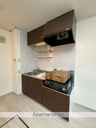 チェリータウン川東Ａ・Ｂ棟[2DK/45.34m2]のキッチン