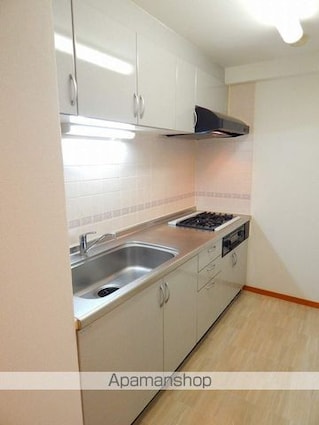 東京都国立市東４丁目[1LDK/45.36m2]のキッチン